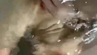 户外裸奔女神露脸跟小哥燃情户外啪啪，听狼友指挥脱光交大鸡巴舔蛋蛋，车内放肆蹂躏抽插，内射骚穴嘴舔干净
